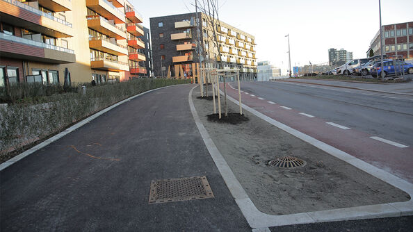 Prosjektets yttergrense