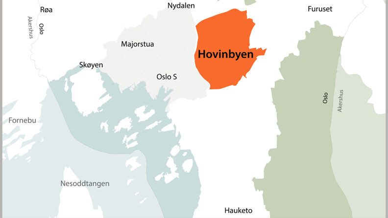 Hovinbyen (4)