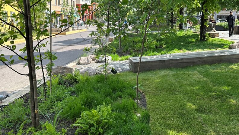 Skyggefulle sitteplasser under trærne i bylivsgata Grønland