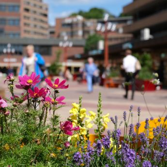 Blomster i forgrunn og mennesker i bakgrunnen på Tøyen torg.