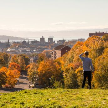 Preson speider utover byen fra Torshovdalen i høstsol.