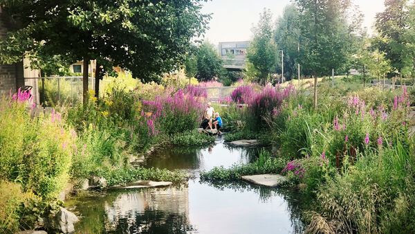 Bekk med frodige planter.