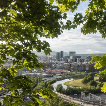 Grønne trær som omringer et utsiktsbilde av jernbanen og barcode i Oslo