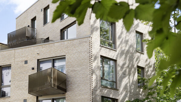 Kingosgate 11