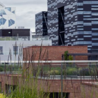 Taket på Munch Brygge