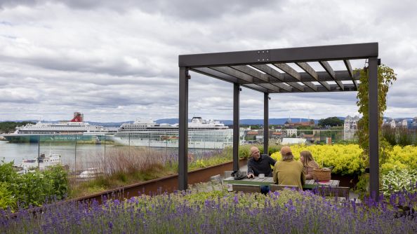 På en av takhagene til Munch brygge sitter tre personer under en pergola