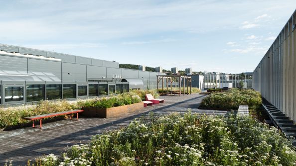 En terrasse på taket av Alf Bjerckes vei 22 med plantekasser og frodig vegetasjon