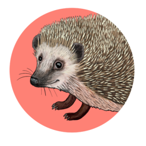 Tegnet bilde av et pinnsvin som smiler