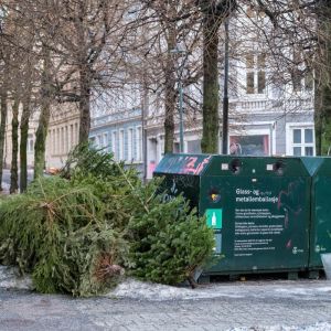 Juletrær foran container i Oslo