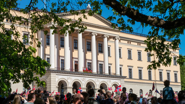 The royal palace with the royal family on the balcony waving to the crowd.