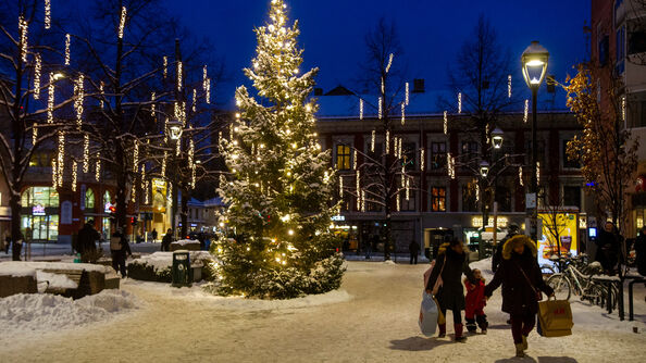 Christmas tree in Oslo in the dusk