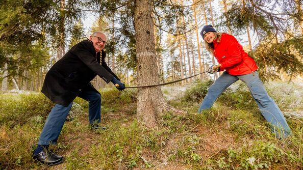 Mayor Anne Lindboe and the Lord Mayor of Westminster, Paul Dimoldenberg, are cutting down this year’s Christmas tree