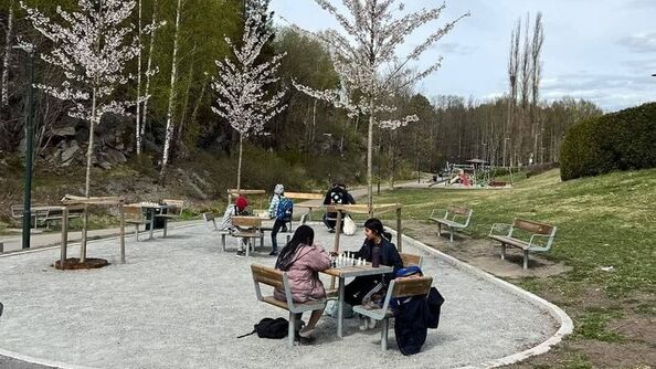 Opparbeidet sitteområde med bord og benker, brukt til sjakk og opphold. trær, sti og lekeområde ligger rundt.