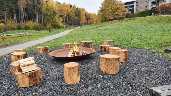 Bålplass med ild i en rund metallskål, omgitt av trestubber som sitteplasser. Sti og gressområde rundt.
