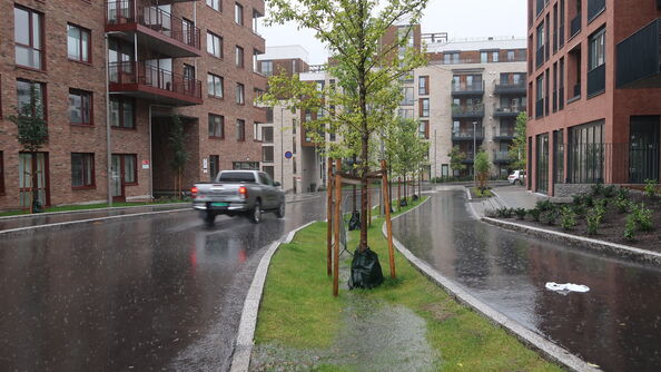 Regnvåt boliggate med trær og grøntarealer som tar opp overvann langs veien.