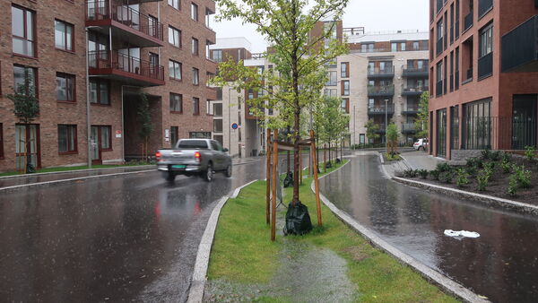 Regnvåt boliggate med trær og grøntarealer som tar opp overvann langs veien.