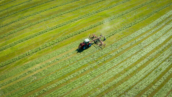 Luftfoto av et stort jordbruksareal der en traktor med redskap arbeider i et slått grasfelt. Lange, parallelle striper av nyslått høy strekker seg på tvers av bildet og danner et mønster i ulike grønntoner. Traktoren er plassert nær midten av bildet og samler eller vender graset for videre bearbeiding.