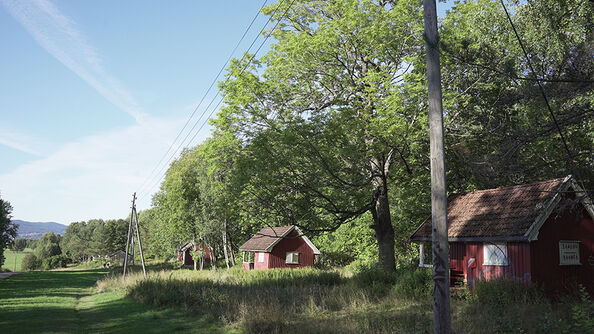 Røde Brannfjellhytter ligger spredt langs en gresslette, med store trær og skog rundt.