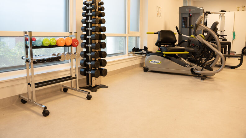 Et treningsrom med flere treningsapparater og frivekter i flere ulike farger og vekt.