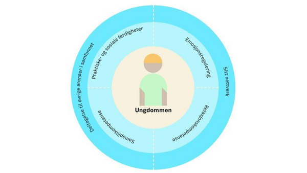 Skjematisk fremstilling av hvordan Møllehuset jobber med ungdommer.