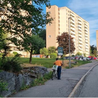 Blokkene ved Bøler og bølerlia i sommerlyset.