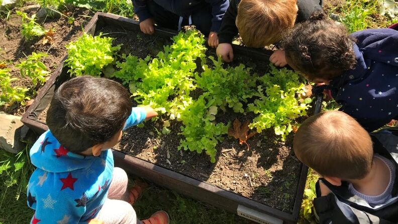 Fire barn rundt en hagekasse med grønnsaker