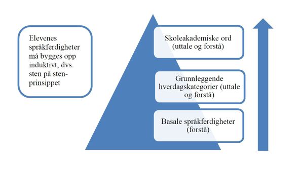 Modellen viser at elevenes språkferdigheter må bygges gradvis fra basale språkferdigheter, via grunnleggende hverdagsspråk og til skoleakademiske ord. (Illustrasjon)
