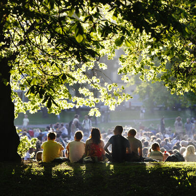 Mennesker sitter på gresset under trær mens en større folkemengde er samlet i en park.