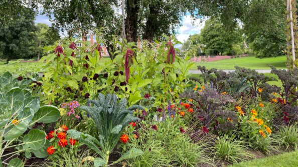 Bilde av spiselig beplantning i parken på NMBU 