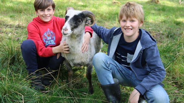 Bilde av noen elever på Sørli besøksgård