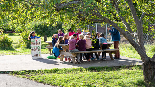 Bilde av undervisning i skolehagen på Rustad skole 