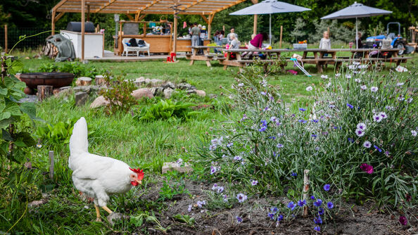 Voksenhenga Nærmiljøhage