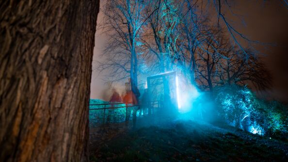 Lysshow i bakgrunnen, tre i forgrunnen