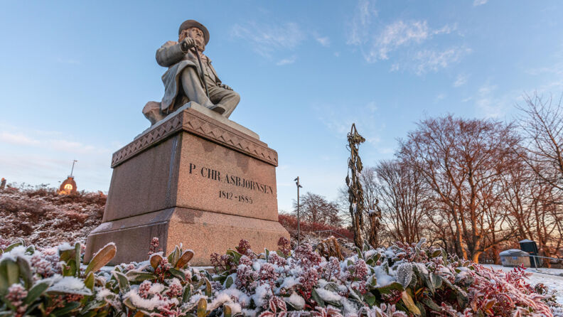 Statue av Peter C. Asbjørnsen på St. Hanshaugen.