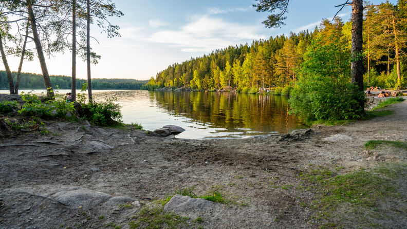 Liten strand ved Steinbruvann i Nordmarka.