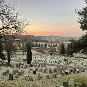 Morgenstemning på Alfaset gravlund. November 2024.