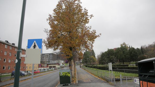 Ferdig gangvei mellom kirkegård og Ulvenveien.